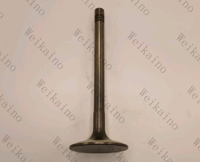 T423393 Perkins Intake Valve C7.1 381-6235 497-1111