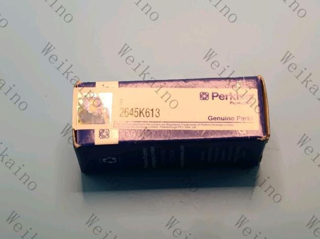 2645K613 L131pba Original Perkins Injector Nozzle for 1103/1104 Series
