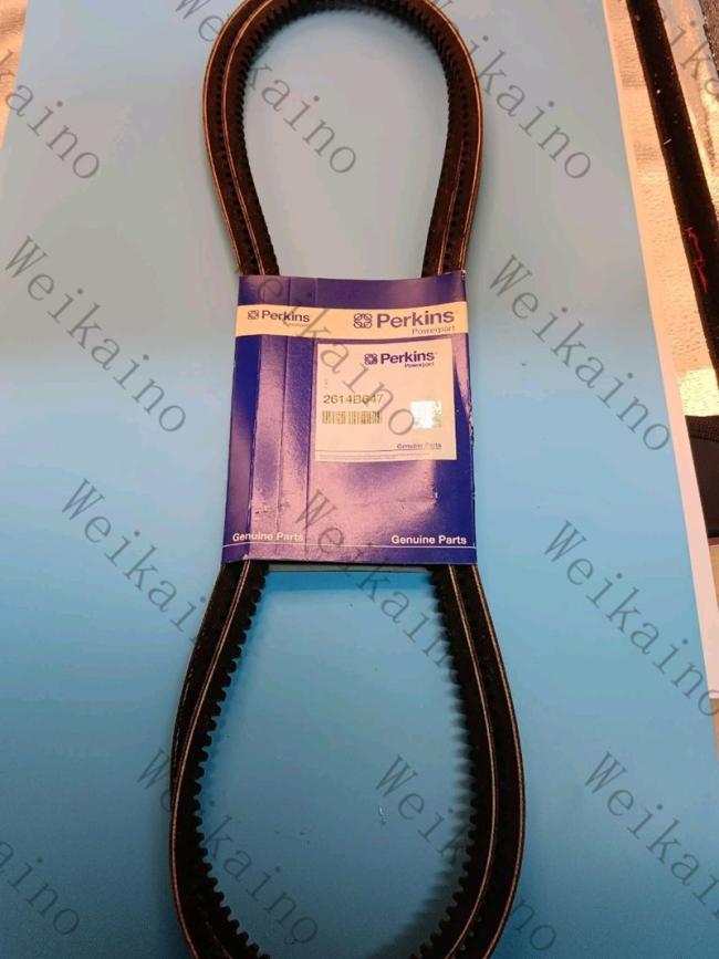 Genuine Perkins Fan Belt Original Perkins Diesel Engine Spare Parts 2614b647 2614b642 2614b643 2614b668 2614b670 2614b677 2614b674 2614b661