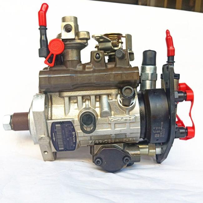 Delphi Fuel Pump for Perkins 1104D-44t Diesel Engine Parts (2644C313/22) 9520A380g