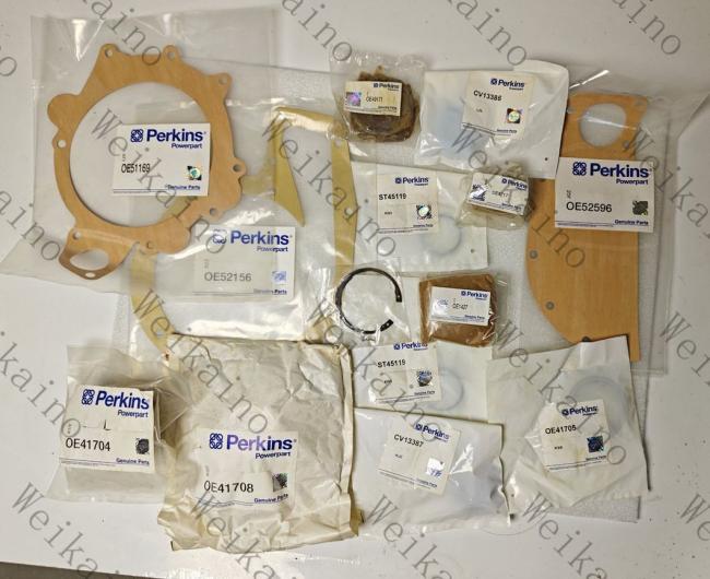 Krp1202 913-103 Genuine Perkins Engine Parts Repair Kit - Water Pump for 2006 Series