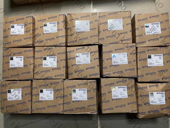 T401928 Genuine Perkins Diesel Engine Parts Valve Kit for 4000 Series