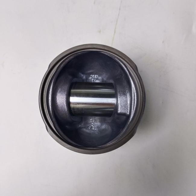 Diesel Engine Piston 4115p017 40234620