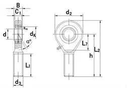 SAA...ES/ GAR...DO / EA.../GAR...ES/ SA...ES Series Rod Ends/Rose Joint/ Bearings(SA6E SA8E SA10E SA12E SA15ES SA17ES SA20ES SA25ES SA30ES SA35ES SA40ES)