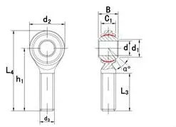 SA...PK Series Maintenance-Free Rod Ends/Heim Joint/ Rose Joint/ Bearings(SA5PK SA6PK SA8PK SA10PK SA12PK SA14PK SA16PK SA18PK SA20PK SA22PK SA25PK)
