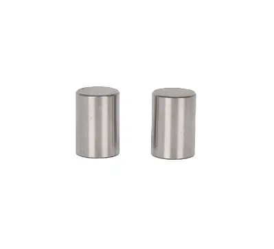 AISI 52100 Round End Bearing Roller for Rolling Bearing