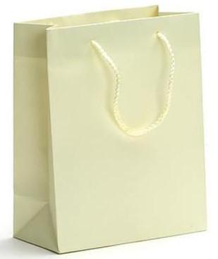 China White Kraft Paper Bags, Luxury Shopping Paper Bags for sale