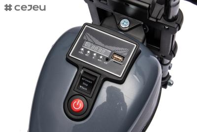 중국 Electric Kids Motorcycle Toy, Music & Lights, Hand Acceleration & Foot Brake, 6V4.5AH 판매용