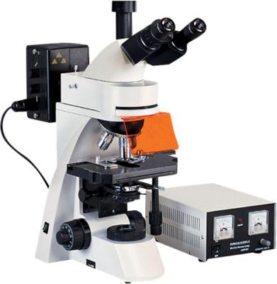 中国 Trinocular Epi Fluorescence Microscope 1600X WF10X 22mm Phase Contrast Microscope 販売のため