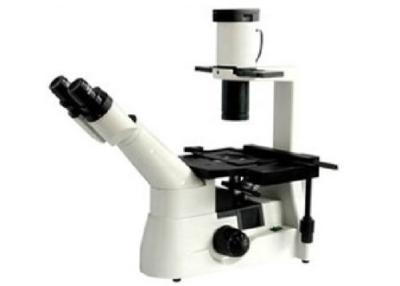 Chine Le RMS a fileté la cellule de vie optique inversée de la lumière WF10X/22mm de microscope à vendre
