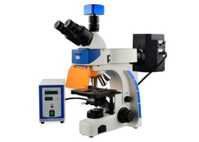 China Trinocular Biology Lab Microscope 40X 100X Epi Fluorescence Microscope for sale