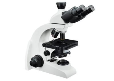 China Microscopio biológico portátil educativo del microscopio 1000x WF10X Trinocular en venta