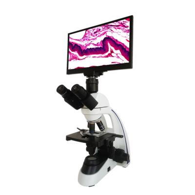 China Compound LCD Microscope For Living Blood Cell And Dead Blood Cell Analysis for sale