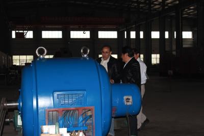 中国 電気の場所のための水タービン発電機/水力電気の発電機 販売のため