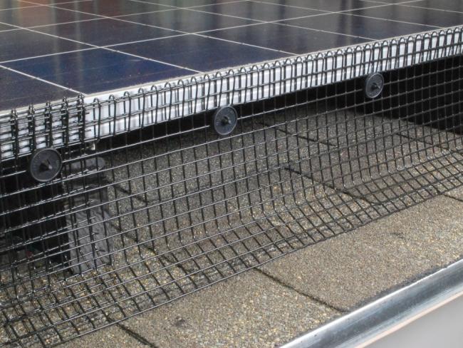 Close-up view of solar panel mesh clips