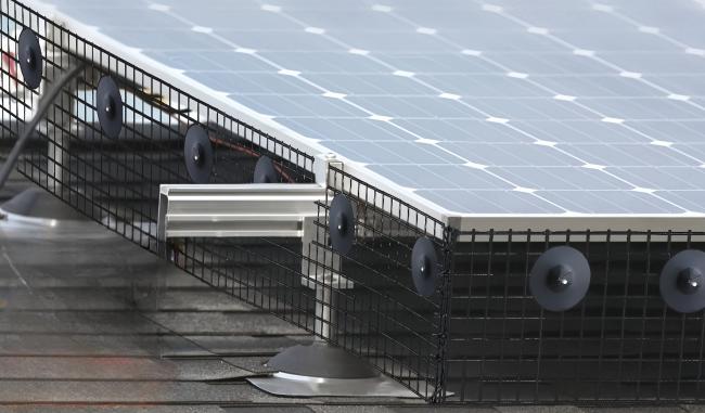 6 Inch Solar Panel Bird Mesh product photo