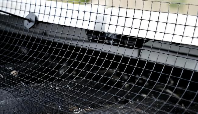Galvanized Steel Proof Pigeon Netting for Solar Panels