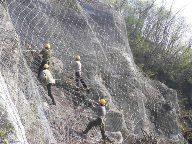 Wire rope mesh application example