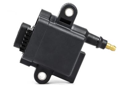 China OE 300879984t01 Of Test Car Ignition Coil Auto Spare Parts TS16949 Certified for sale