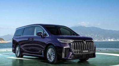 Chine 30kW de voiture électrique de luxe Version carbone VOYAH Dreamer MPV Sept places à vendre