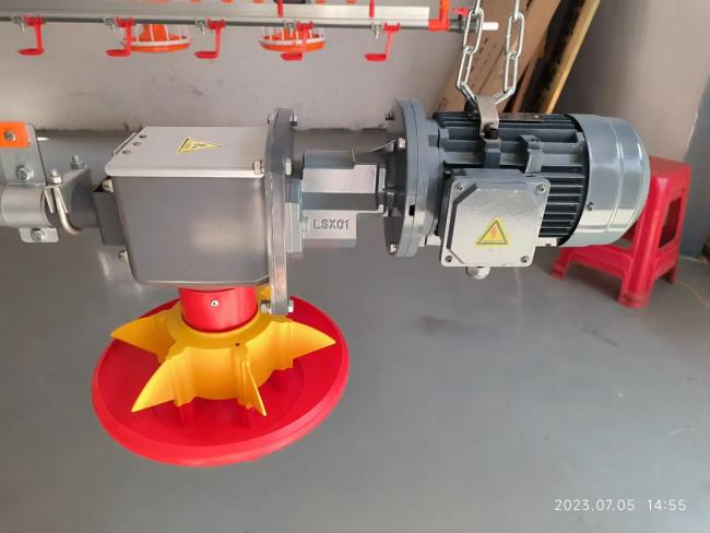 Motor specifications and options