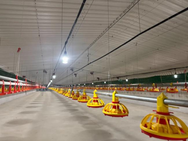 Automatic broiler floor rearing system overview