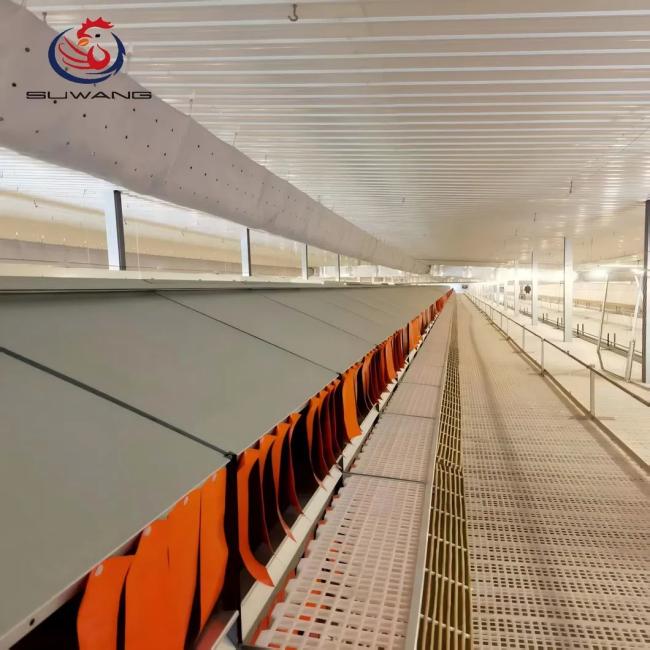 Automatic egg collection system