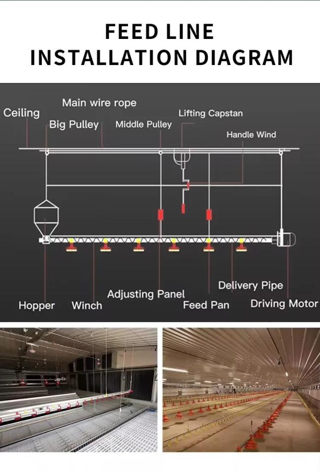 Poultry house equipment overview