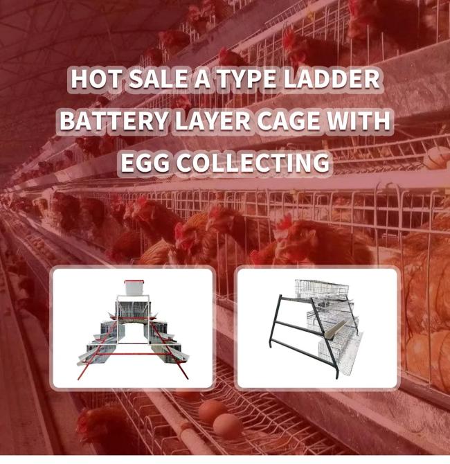 H Type Layer Cage System overview
