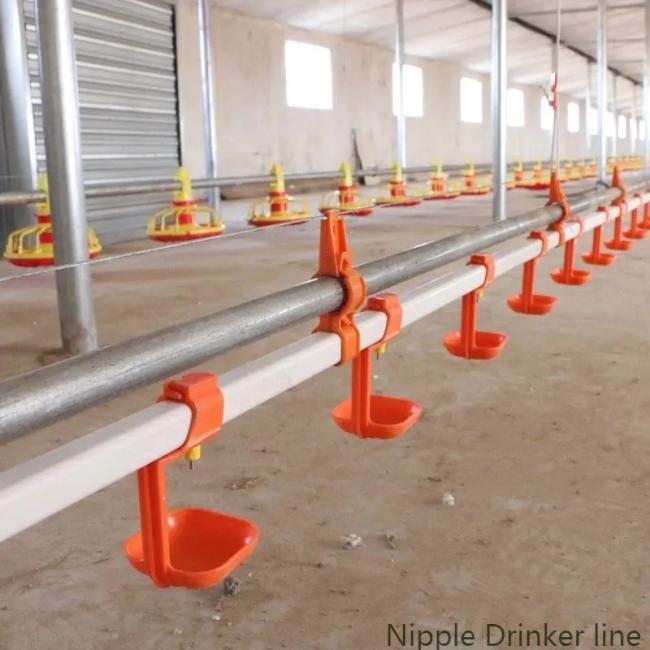 Poultry farming equipment product 1