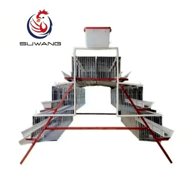 Layer cage system in operation