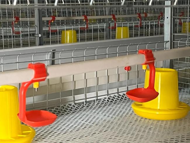Nipple drinking system components
