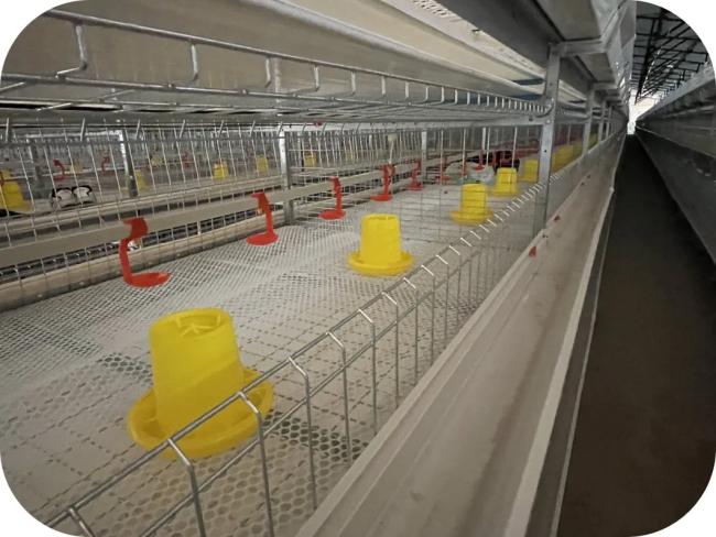 Automatic feeding system operation