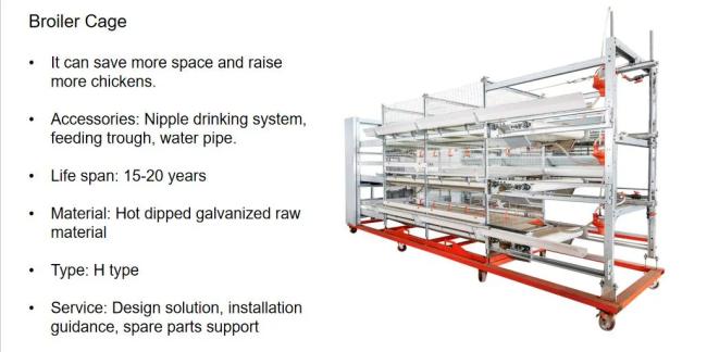 Close-up view of H-type layer cage structure