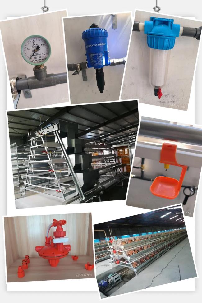 A type layer cage design