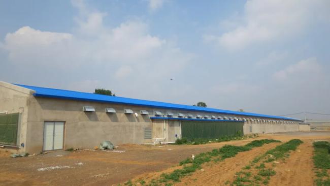 Ventilation system in poultry house