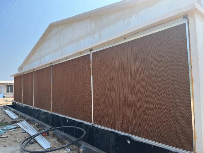 Industrial poultry farming equipment installation