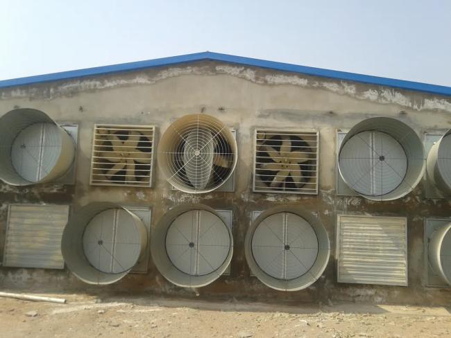 Completed poultry farm ventilation project