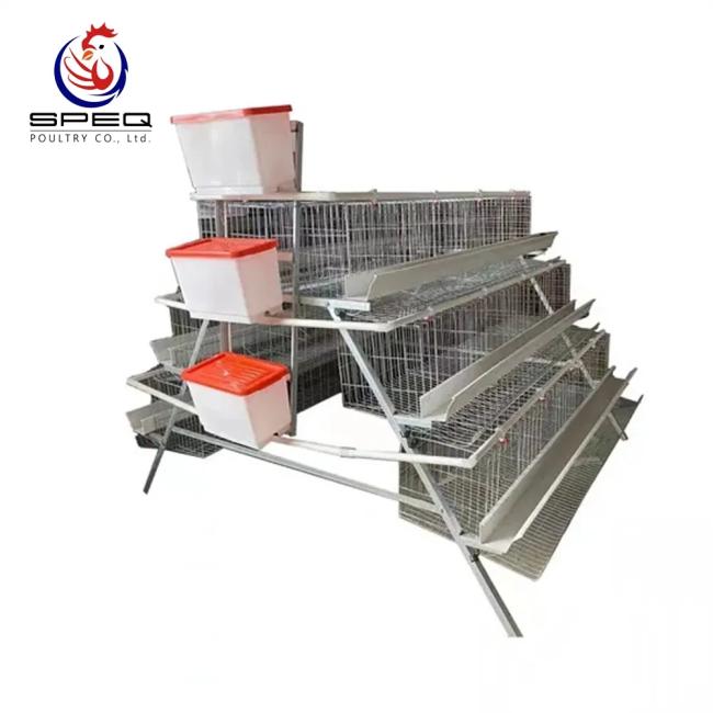 Close-up view of layer cage structure