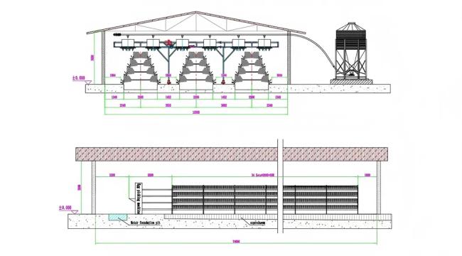 Chicken cage feeding system