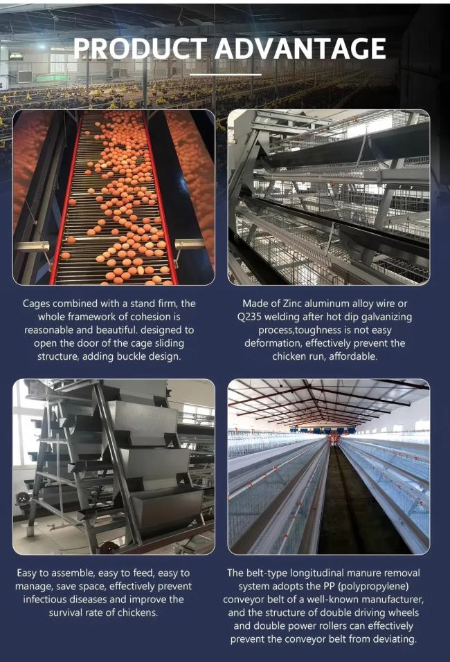 Poultry farm equipment overview