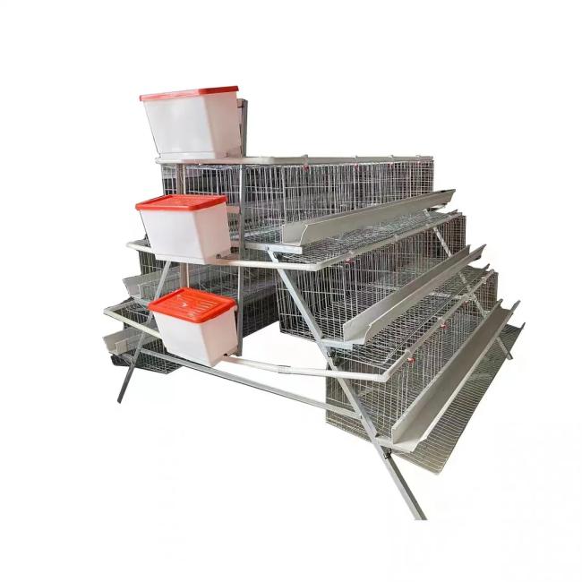 A Type cage interior view