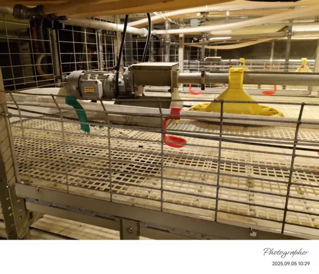 Automated feeding and drinking system details