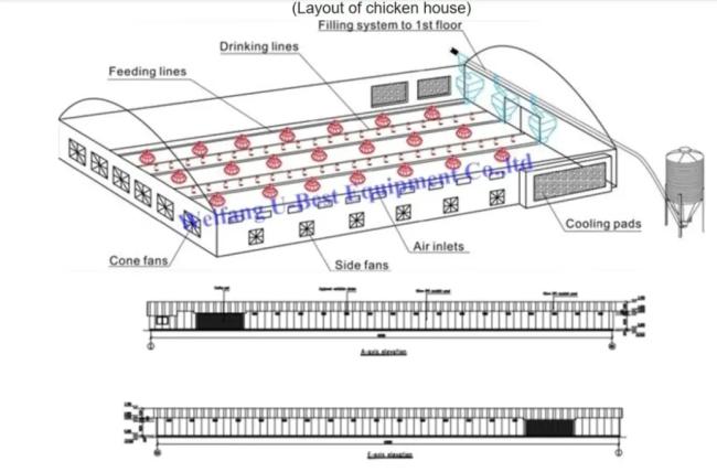 Poultry Farm Ventilation System Overview