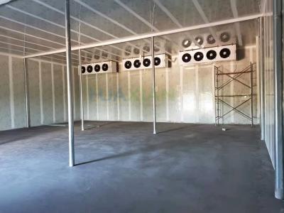China Controlled Atmosphere Cool Storage Room 600 Tons Apple CA Cold Store Room for sale