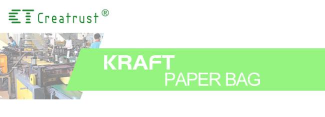 OEM Custom Luxury Gift Craft Shopping White Kraft Paper Bag With Handle Manufacturer