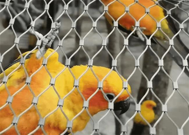 Factory sale high strength Stainless steel aviary mesh/wire rope mesh net/ferrule wire rope mesh