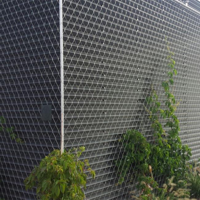 Green Plant Climbing Trellis Wall Mesh Of Garden/Plant Climbing Net