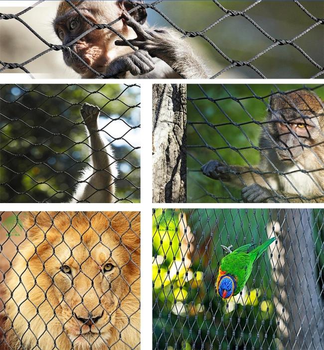 Stainless Steel Wire Rope Mesh For Animal