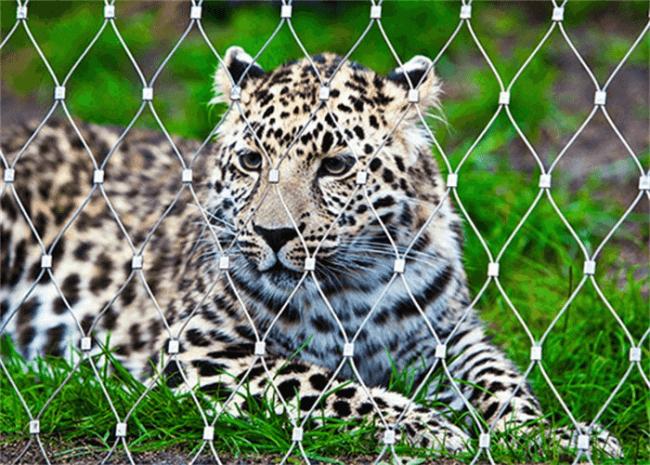 Fence Wire Rope Mesh Stainless Steel 316 Flexible Woven Zoo Mesh Zoo Enclosure Mesh